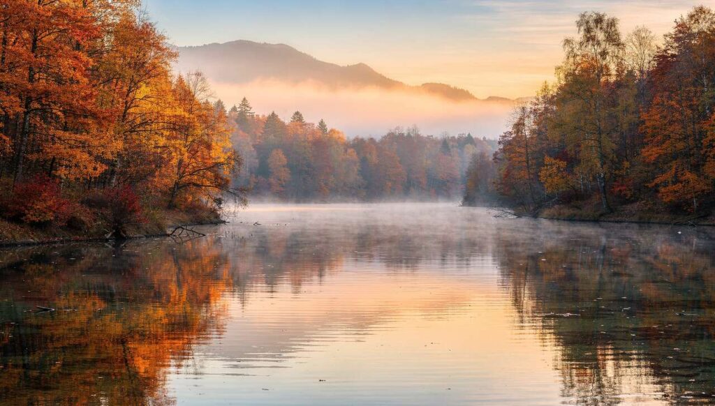Lubisz porządek w szafie, ale chaos na biurku? Psychologia wie, co to oznacza